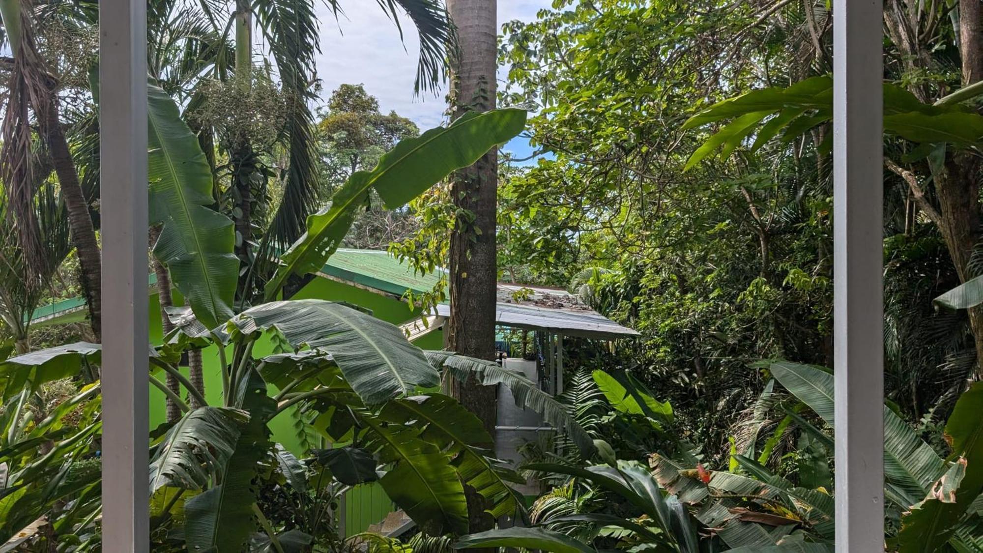 Peace Of Paradise Manuel Antonio Bagian luar foto